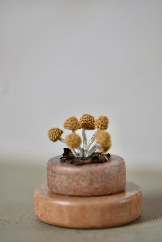 Hancrocheted Tiny Mushroom - By Tiny Bells of the Prairie