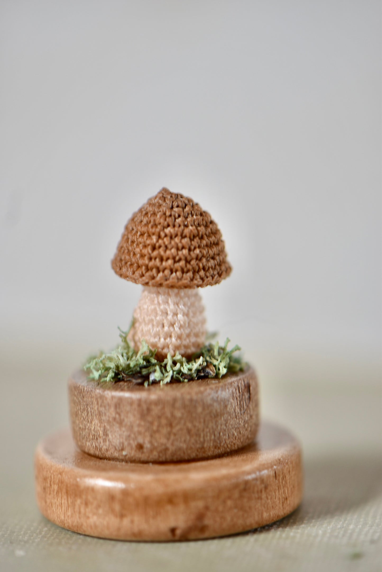 Hancrocheted Tiny Mushroom - By Tiny Bells of the Prairie