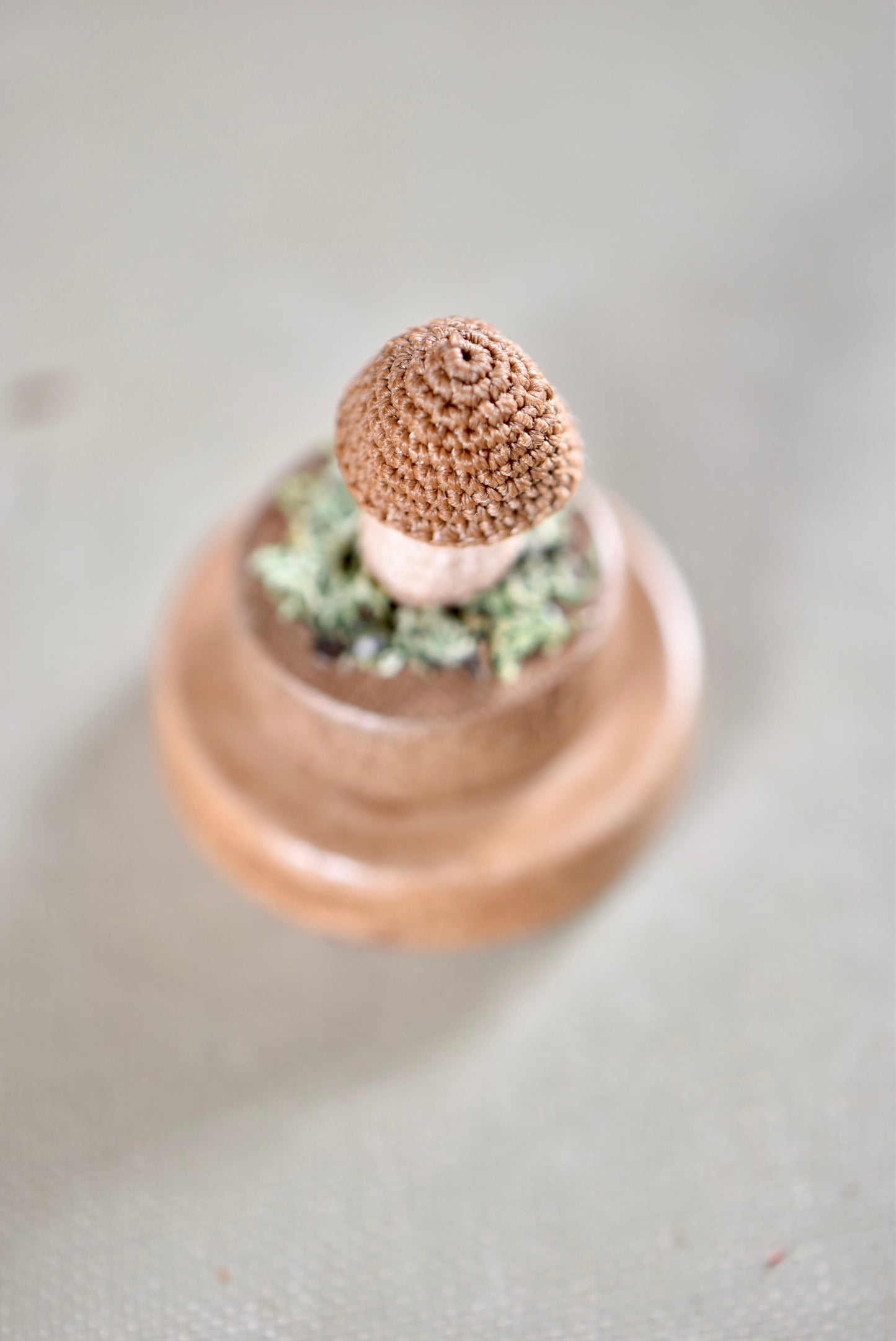 Hancrocheted Tiny Mushroom - By Tiny Bells of the Prairie